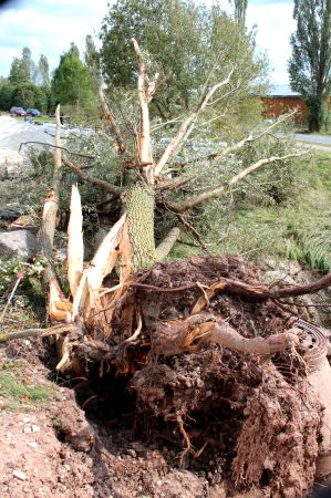 Einsatz 31 bis 96 – 2017 – Unwetterfront