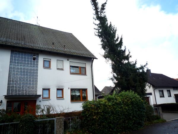 Einsatz 103 – 2017 – Baum droht auf Fahrbahn zu stürtzen