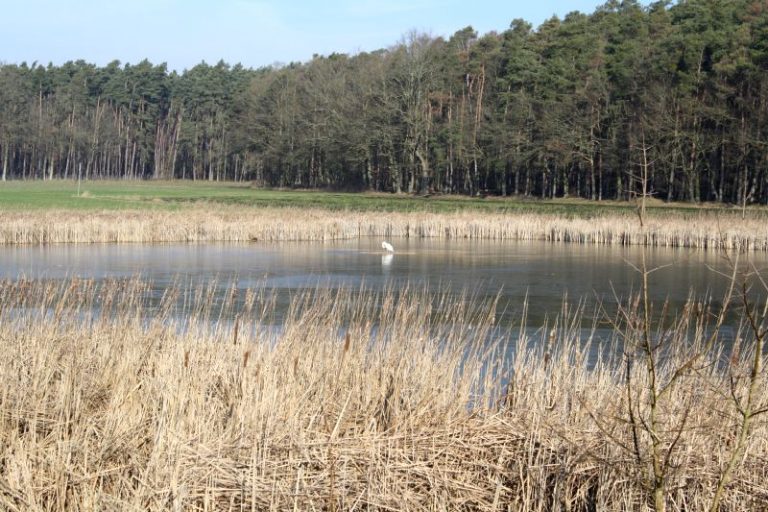 Einsatz 03 – 2020 / THL Kleintierrettung