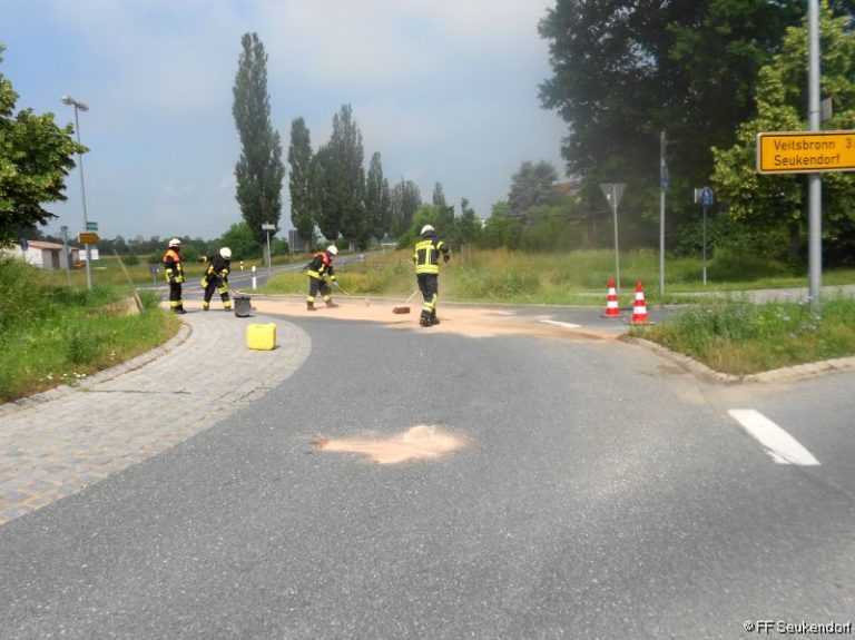Einsatz 16 – 2021 / THL – Öl auf Fahrbahn