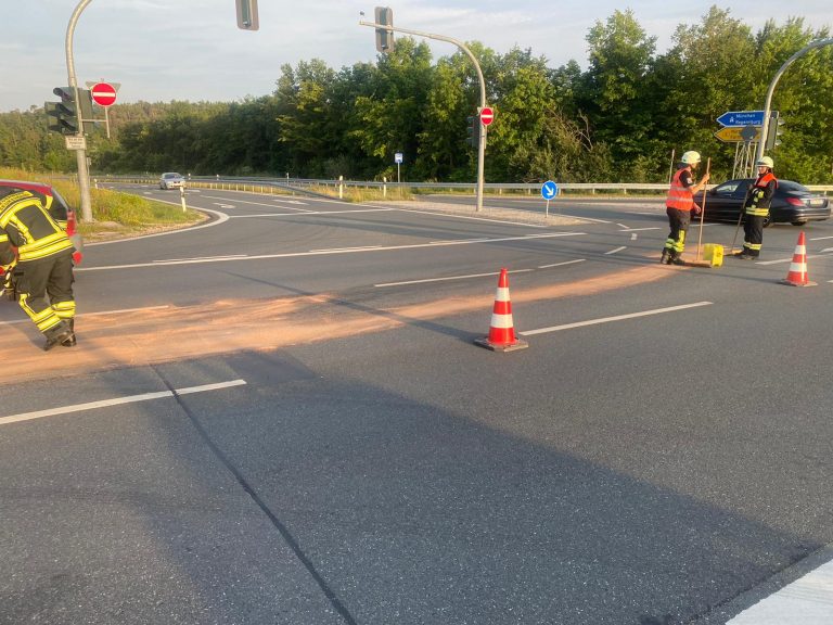 Einsatz 19 – 2021 / THL – Öl auf Fahrbahn