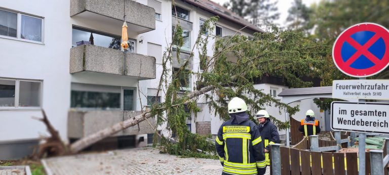 Einsatz 33 bis 35 – 2021 / THL – Sturmschäden