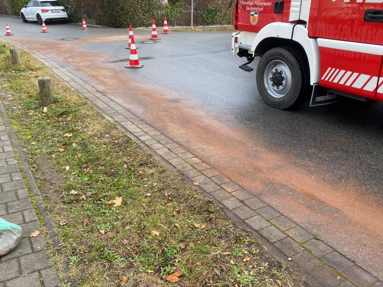 Einsatz 39 – 2021 / THL – Öl auf Fahrbahn