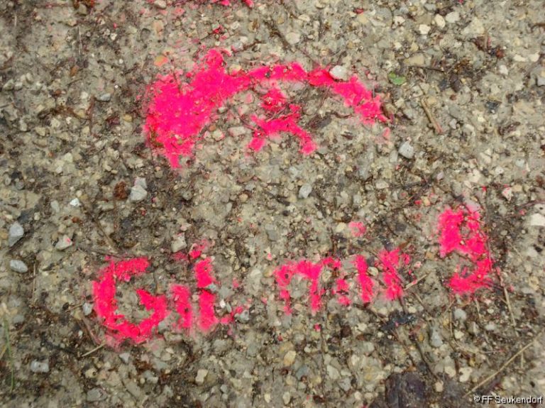 Give me 5 – Paulinchen e. V.