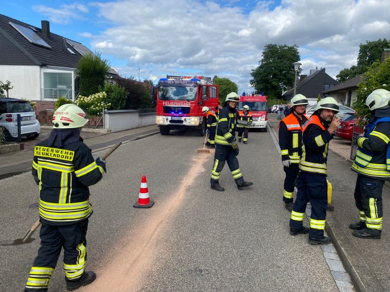 Einsatz 27/2022 – THL Ölspur