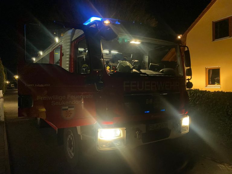Einsatz 05/2023 – Brand Freifläche