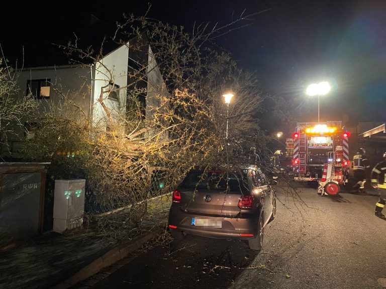 Einsatz 07/2023 – THL Sturmschaden