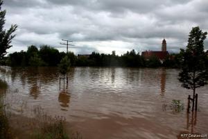 IMG 4316 (1) (1) (1) (1) (1) (1) (1)