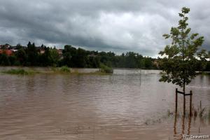 IMG 4318 (1) (1) (1) (1) (1) (1) (1)