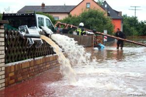 IMG 4336 (1) (1) (1) (1) (1) (1) (1)