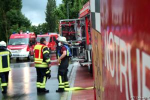 IMG 4355 (1) (1) (1) (1) (1) (1) (1)