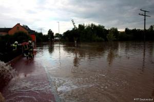 IMG 4373 (1) (1) (1) (1) (1) (1) (1)