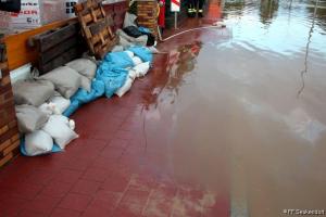 IMG 4405 (1) (1) (1) (1) (1) (1) (1)