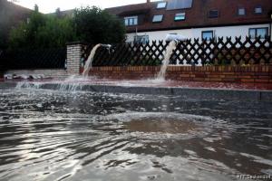 IMG 4408 (1) (1) (1) (1) (1) (1) (1)