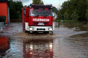 IMG 4423 (1) (1) (1) (1) (1) (1) (1)