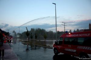 IMG 4429 (1) (1) (1) (1) (1) (1) (1)