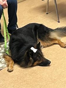 WhatsApp-Bild-2024-01-10-um-18.32.56 30a7cbd6