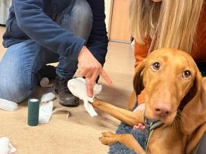 WhatsApp-Bild-2024-01-10-um-18.32.56 76a521ba