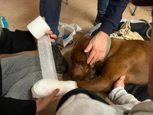 WhatsApp-Bild-2024-01-10-um-18.32.56 90b30243