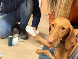 WhatsApp-Bild-2024-01-10-um-18.32.57 94c3d8c5