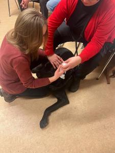 WhatsApp-Bild-2024-01-10-um-18.32.57 a542f4f5