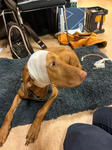 WhatsApp-Bild-2024-01-10-um-18.32.57 e1ebd49d