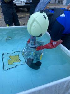 WhatsApp-Image-2022-01-09-at-15.26.17-1