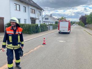 WhatsApp-Image-2022-07-12-at-05.51.51